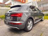 Audi Q5 50 TDI quatttro tiptron.S-line.Standh.Sportpa - Audi Q5 in Mannheim