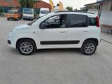 Fiat Panda 1.3 MJT 80 CV S&S 4x4 lounge - Fiat Panda LOUNGE mit Diesel-Antrieb
