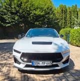 Ford Mustang 5.0 Ti-VCT V8 GT - Black Pack  - Ford Mustang Black Gebrauchtwagen