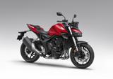 Honda CB1000 Hornet 2025 *sofort verfügbar* - HONDA HORNET