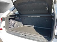 Skoda Kamiq - Vorschau Bild 7