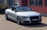 Audi A5 Cabrio 8F Vollausstattung 20 Zoll Softw... - Audi A5 8F