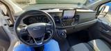 Ford Transit Custom Trend  300 L2 H1    LKW Zulassung - Ford Transit Custom 300 L2 Trend Gebrauchtwagen