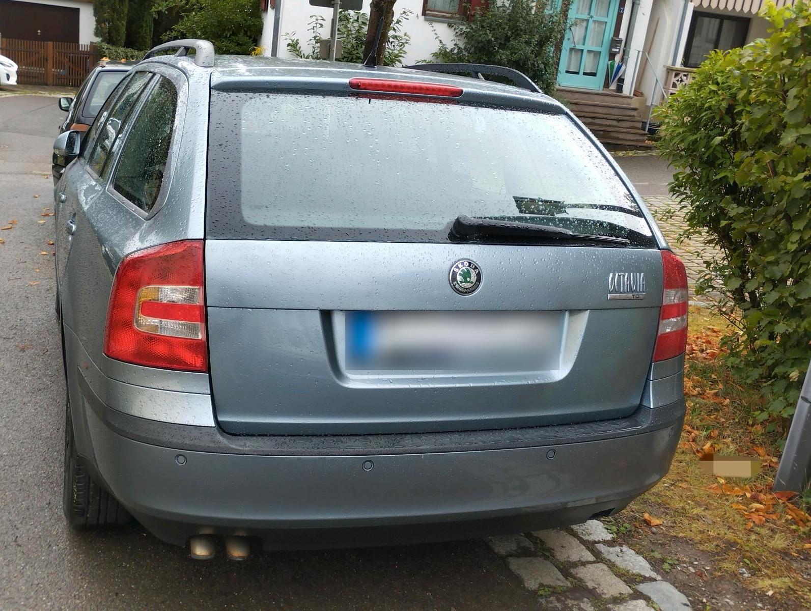 Skoda Octavia 2006 — двигун 140 HP (103kW)