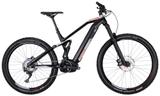 Swype freqz #2.0 500Wh 29: 43 cm - Swype E-Bikes