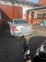 Mercedes-Benz Mercedes SLK. R171. Capriole - Caprio gebraucht