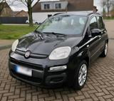 Fiat Panda 1.2 L klimaanlage neu tüv - Fiat Panda Gebrauchtwagen in Mönchengladbach