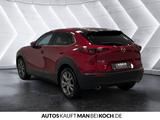Mazda CX-30 SKY-X 2.0 6 AWD AG LED NAVI HUD 360View SD - Mazda CX-30 Gebrauchtwagen