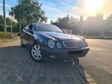 Mercedes-Benz Hiermit Vekaufe ich eine Clk w208 200 Avan... - Mercedes-Benz 200: Coupé, Clk