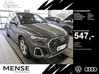Audi SQ5 - Vorschau Bild 1