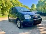 Fiat Panda 1,1l  Allwetterreifen  - Fiat Panda Gebrauchtwagen in Mönchengladbach