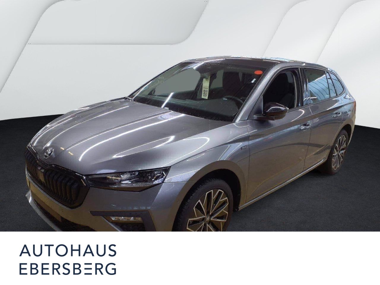 Skoda Scala Selection Tour 1.0 TSI virtual App Spur MA