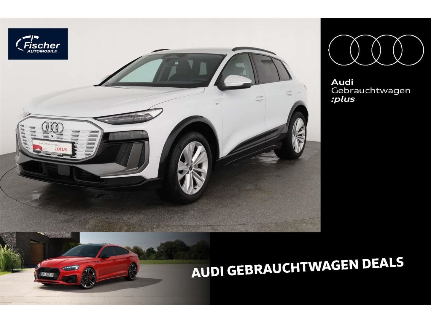 AUDI Q6 e-tron SUV S-Line 20''/360/W-Pumpe/LED+