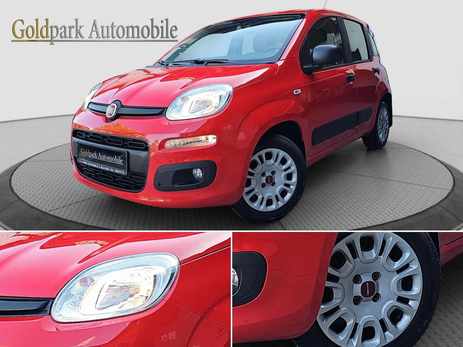 Fiat Panda 1.2 8V Easy/WENIG KM!/1.HAND/GARANTIE!