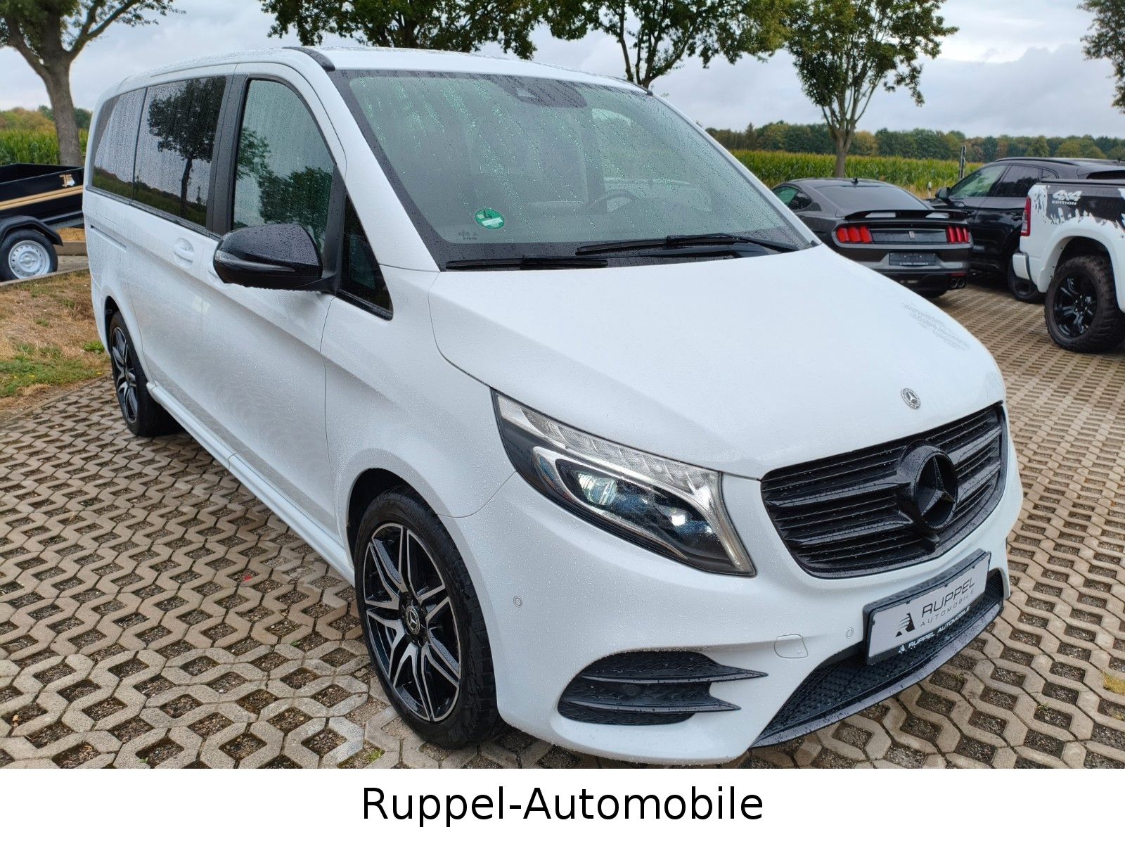 Mercedes-Benz V 250CDI AMG-LINE AVANTGARDE EDITION lang 1.HAND foto 13