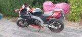 Aprilia RS4 125 - APRILIA RS 125