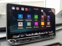 Cupra Terramar 2.0 TSI DSG 4D VZ HUD PANO 5JGAR AKTION bei Autohaus Landmann & Maier OHG