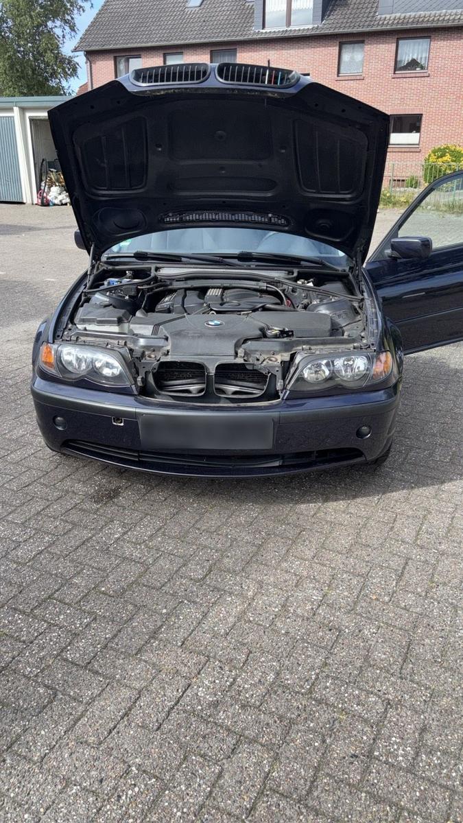BMW 316 2004 — photo 9