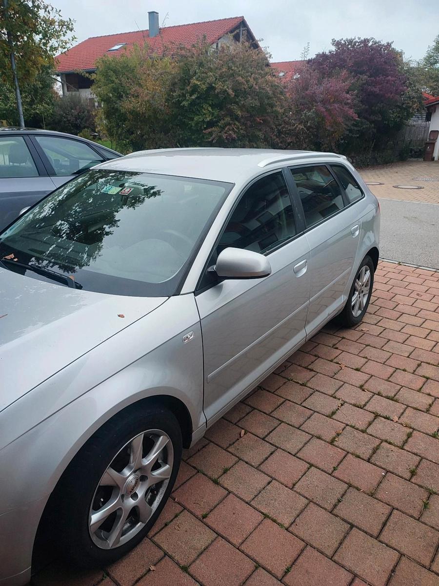 Audi A3 2006 — вигляд ззаду
