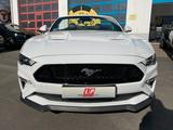 Ford Mustang GT 5.0 V8 Cabrio Kamera Navi LED SHZ - Ford: K 0