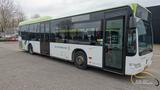 Mercedes-Benz Citaro LE O530 EURO 5, 42 Sitzplätze, 45 Stehpl - Mercedes-Benz Citaro o530