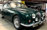 Jaguar 240 MKII / 1968 cm/LHD/Leder - Jaguar: Mk2