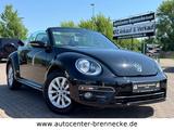 Volkswagen Beetle Cabriolet Design BMT*Allwetter* - Cars in Magdeburg