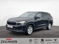 Skoda Kodiaq - Vorschau Bild 1