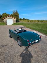 Austin Healey Sprite MK1 (Winterpreis) - Austin Healey Gebrauchtwagen