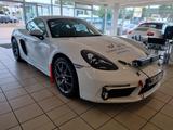 Porsche Cayman S Rallye Umbau - Porsche Cayman aus 2019