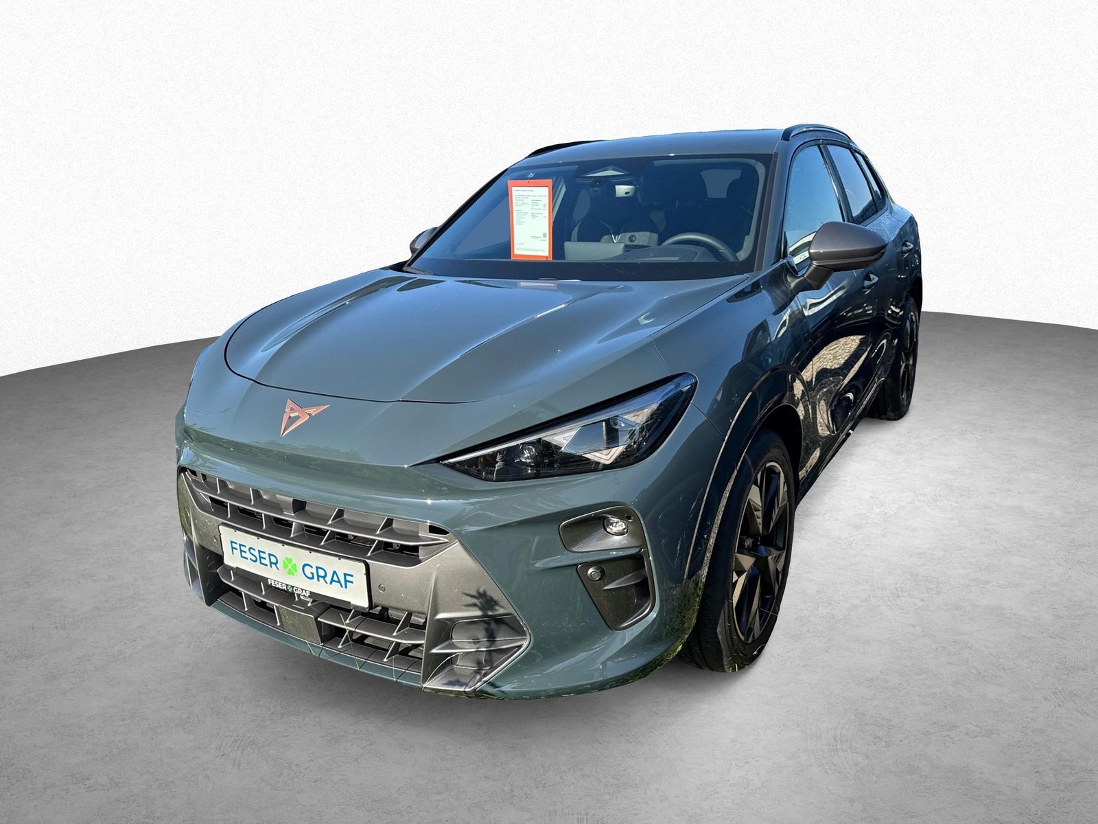 Cupra Terramar - Bild 11