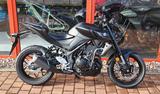Yamaha MT-03 MY 24 - YAMAHA MT 03