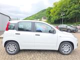 Fiat Pandina 1.0 Icon PDC Bluetooth 5'' Radio - weiße Fiat New Panda