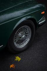 Jaguar Absolute Rarität nur 29000 km Top Zustand  - Jaguar Gebrauchtwagen von 1985