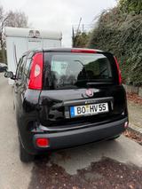 Fiat New Panda 1.2 8V EASY EASY - Fiat New Panda in Essen