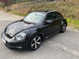 Volkswagen Beetle 2.0 TDI BMT ALLSTAR ALLSTAR