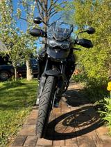 Triumph Tiger 900, Sondermodell 007 Nr. 157 von 250  - TRIUMPH TIGER 900