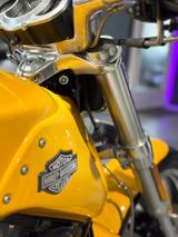 Harley-Davidson V-Rod VRSCF Muscle - HARLEY-DAVIDSON VR