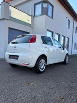 Fiat Punto 1.2 8V YOUNG II  - Fiat Punto: Young