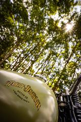 Harley-Davidson WLA Flathead 750 Custom - HARLEY-DAVIDSON WLA
