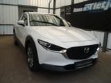 Mazda CX-30  L SKYACTIV-G 2.0 M Hybrid 6GS AL-SELECTIO - Mazda CX-30 aus 2023