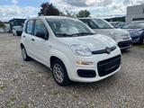 Fiat Panda Easy * Klima * PDC - gebrauchte Fiat Panda aus dem Jahr 2020