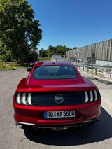 Ford Mustang 5.0 Ti-VCT V8 GT Auto GT - Ford Mustang: Rot