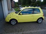 Volkswagen Lupo 1.4 60 PS Oxford Klima Servo - Volkswagen Lupo: 1.6
