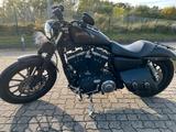 Harley-Davidson Sportster 883 Iron - HARLEY-DAVIDSON 2012 SPORTSTER