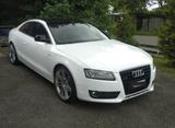 Audi A5 3.0 TDI (DPF) quattro - - gebrauchte Audi A5 aus dem Jahr 2007