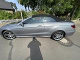 Mercedes-Benz E 500 Cabriolet E 500 - - Mercedes-Benz E 500: Cabrio