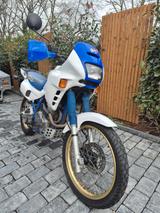 Honda NX650 Dominator  - Offers