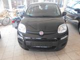 Fiat Panda Pandina Pop Hybrid - Fiat Panda Pandina mit Hybrid-Antrieb (Benzin/Elektro)