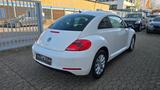 Volkswagen Beetle 1.6 TDI Design - VW Beetle Diesel von 2012